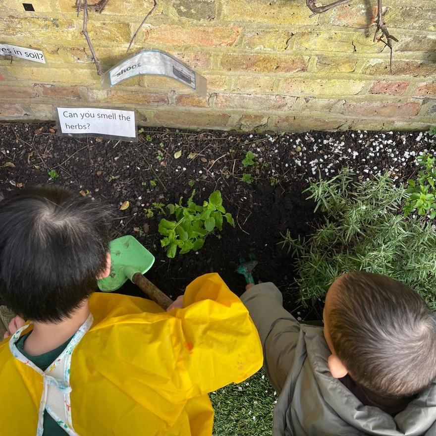 Two children digging in the herb bed